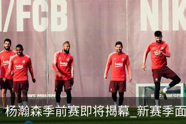 杨瀚森季前赛即将揭幕 新赛季面临竞争压力